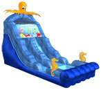 Octopus Double-Drop Water Slide